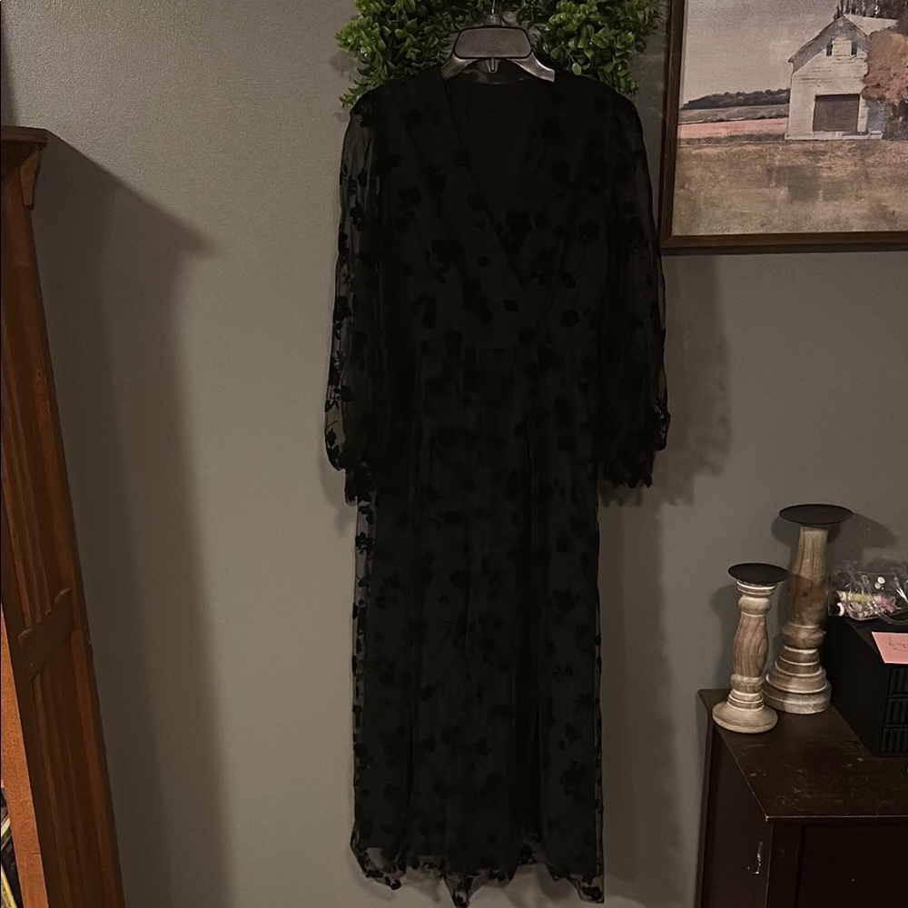 Elegant Black Sheer Dress